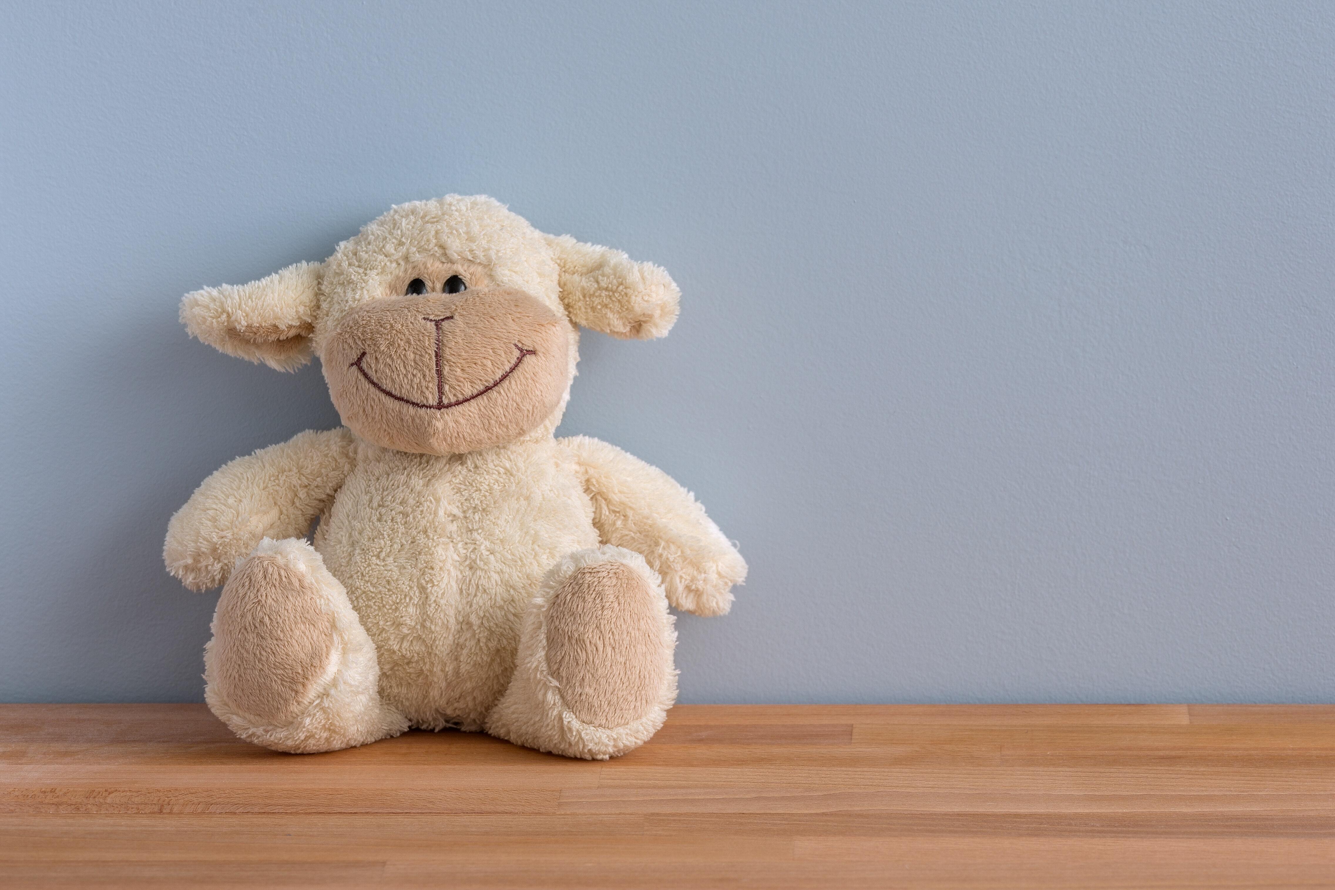 cuddly-toy-happy-smile-12211.jpg