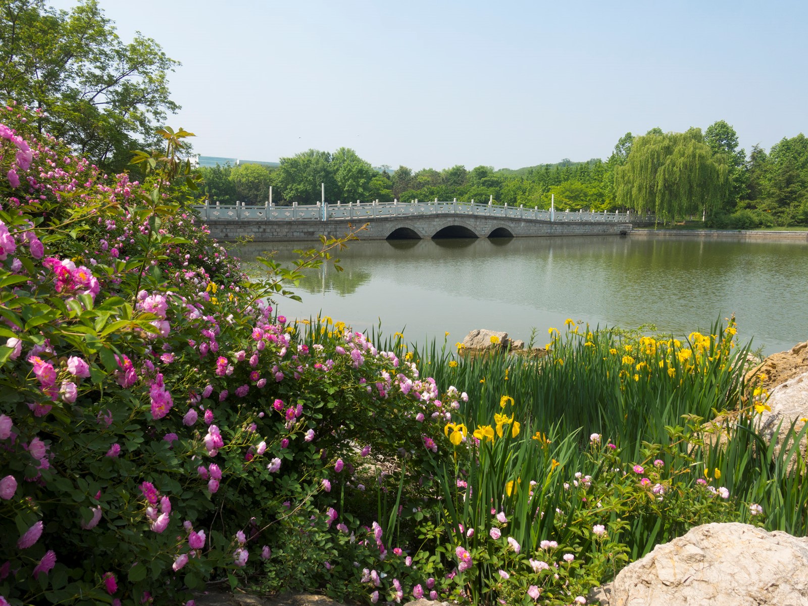 高质量发展：pg电子制药集团新时代药业厂区风景.jpg