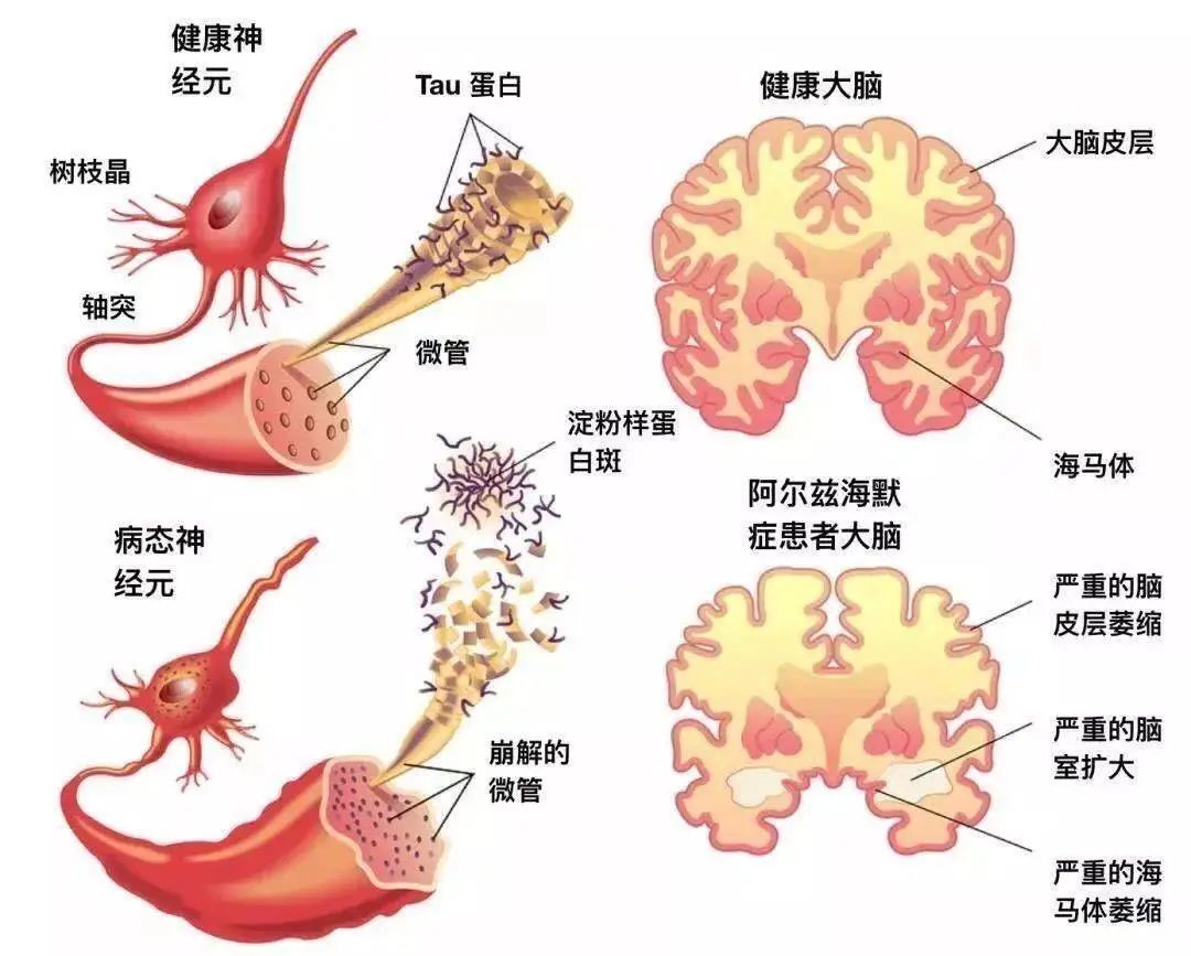 微信图片_20230406084542.jpg